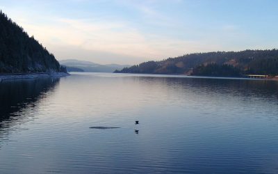 Coeur d’Alene & Bitterroot: Northern Rockies Gem
